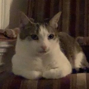 Meet your Posher, Robert